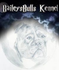 BaileysBulls Kennel